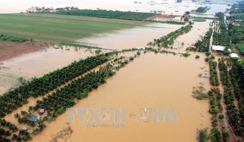 Sụt lún mái kè trên đê tả sông Luộc tại Hưng Yên ảnh 1