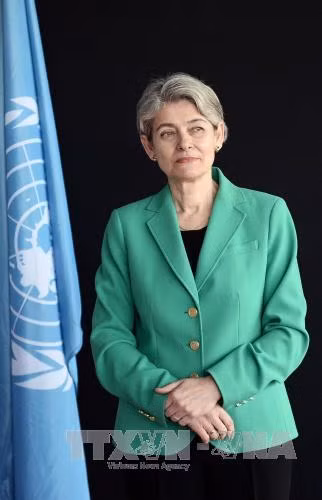 Việt Nam rút khỏi cuộc đua trước giờ bỏ phiếu vòng 3 Tổng Giám đốc UNESCO ảnh 1