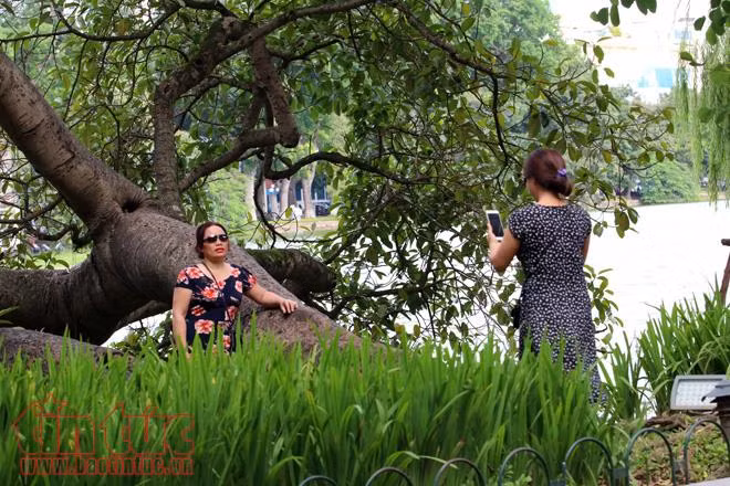 Hà Nội đẹp nao lòng trong gió lạnh ảnh 9