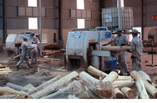 Đề xuất bãi bỏ ít nhất 1/3 điều kiện kinh doanh gây khó khăn cho doanh nghiệp ảnh 1