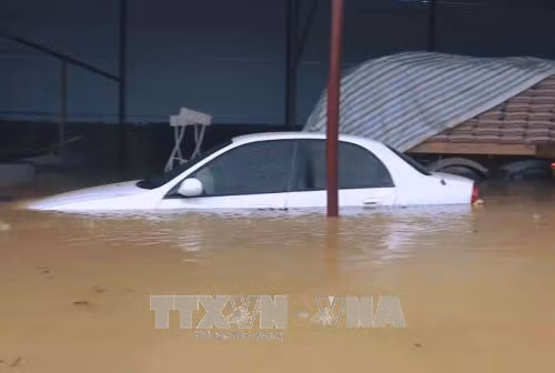 Bộ đội giúp dân 'chạy lợn' trong mưa lũ tại Thanh Hóa ảnh 4