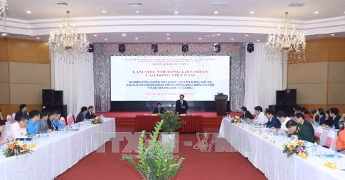 Khảo sát về chính sách tiền lương, BHXH và ưu đãi người có công ảnh 2
