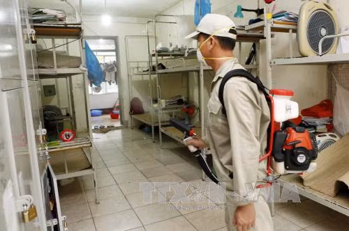Chủ động diệt bọ gậy, giảm nguy cơ tái diễn đỉnh dịch sốt xuất huyết ảnh 1