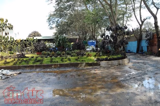 Bốn người bị thương, khu dân cư di tản khẩn cấp vì rò rỉ khí amoniac ảnh 2