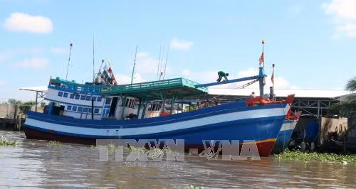 Kiên Giang phát triển bền vững kinh tế thủy sản ảnh 1