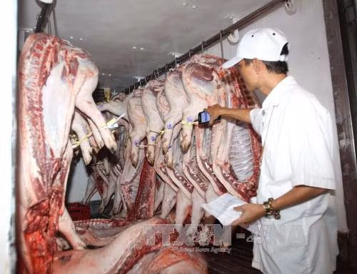 Cần vá lỗ hổng khâu trung gian về truy xuất nguồn gốc thịt lợn ảnh 1
