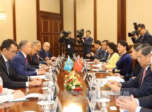Chủ tịch Quốc hội Nguyễn Thị Kim Ngân hội đàm với Chủ tịch Hạ viện Kazakhstan ảnh 1