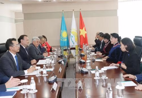 Chủ tịch Quốc hội gặp lãnh đạo đảng cầm quyền tại Kazakhstan ảnh 1