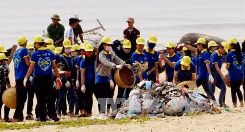 Hơn 1.000 đoàn viên Quảng Binh tham gia “làm sạch biển” ảnh 2