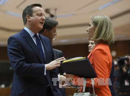 EU lúng túng sau “cơn địa chấn” Brexit ảnh 1