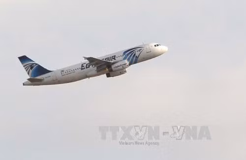 Phi công MS804 đã cố dập lửa trước khi máy bay rơi ảnh 1