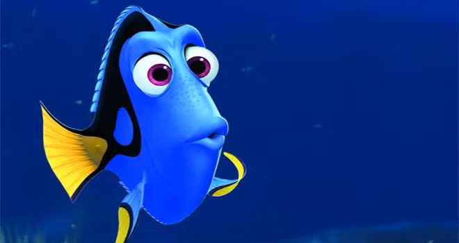 Vững vàng chiến binh Dory ảnh 1