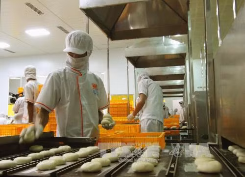Xuất khẩu lô bánh trung thu đầu tiên sang Mỹ ảnh 1