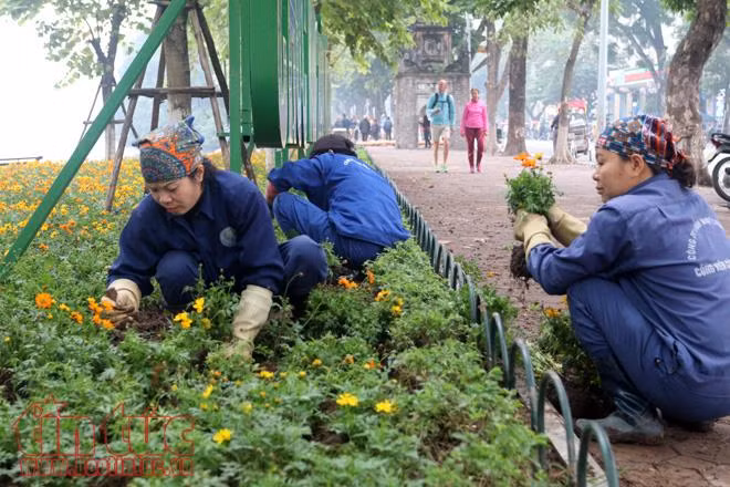 Hà Nội rực rỡ cờ hoa đón năm mới Mậu Tuất ảnh 7