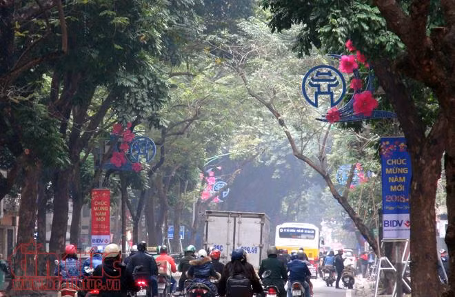 Hà Nội rực rỡ cờ hoa đón năm mới Mậu Tuất ảnh 2
