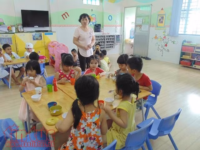 TP Hồ Chí Minh thiếu hơn 5.000 giáo viên trong năm học mới ảnh 1