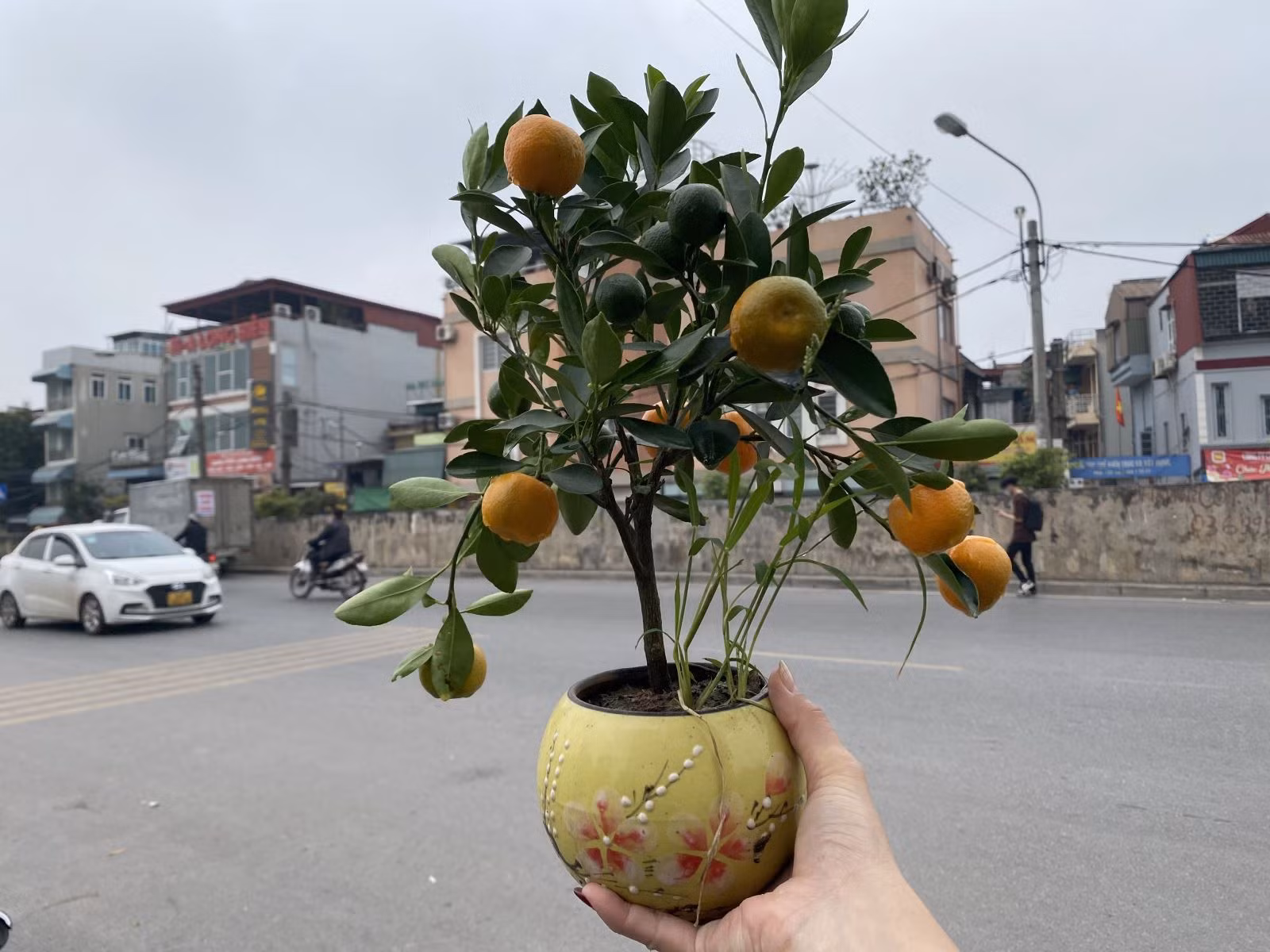 Chú thích ảnh