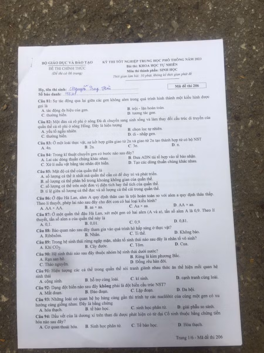 Chú thích ảnh