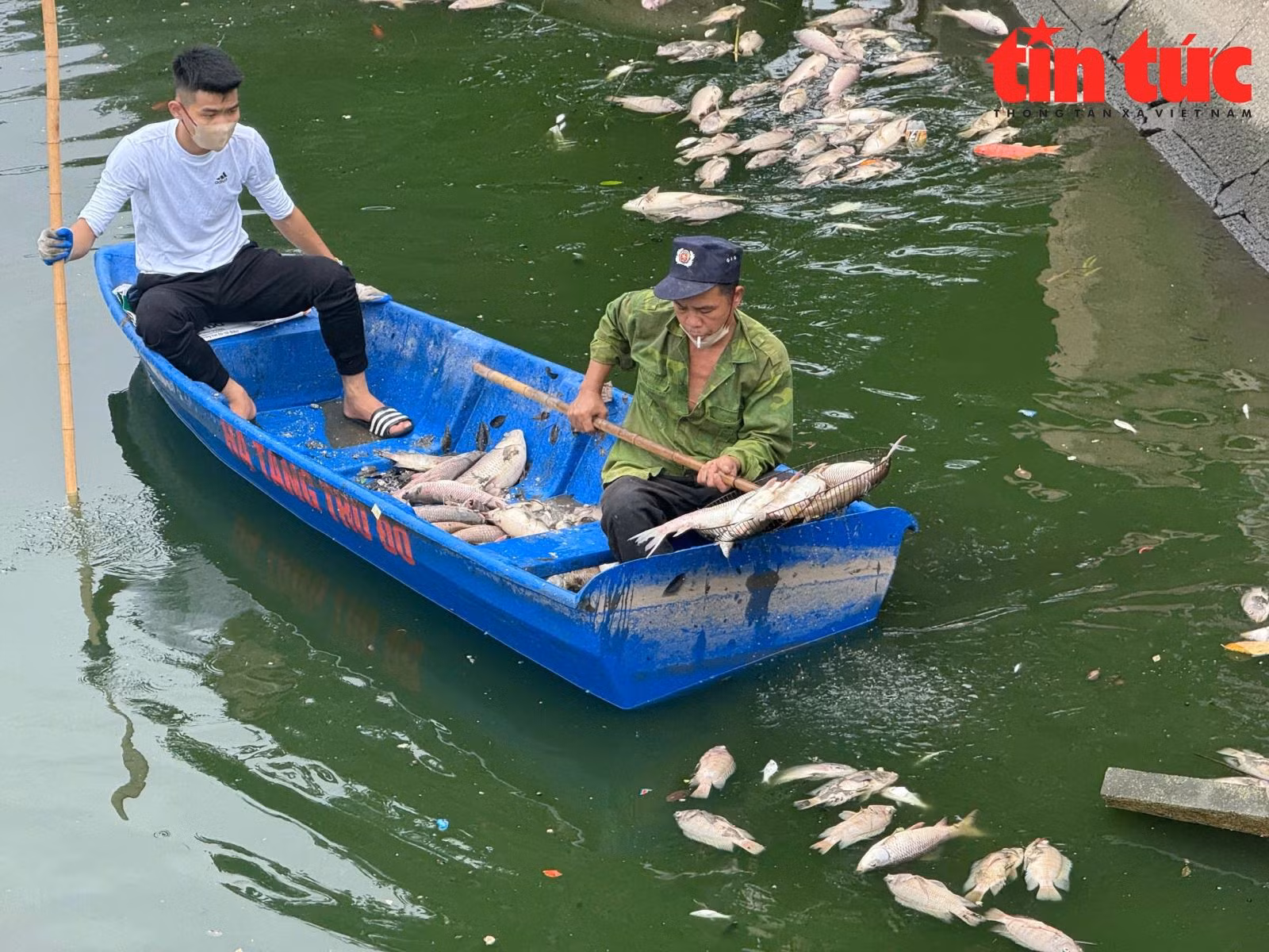 Chú thích ảnh