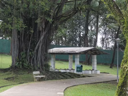 Hai kẻ bắt cóc mẹ triệu phú người Singapore ra hầu tòa ảnh 2