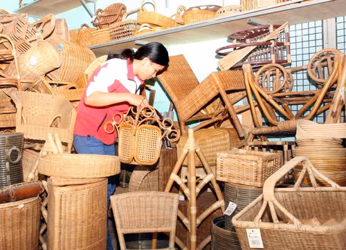 Phát triển các loại hình kinh tế hợp tác xã ảnh 1