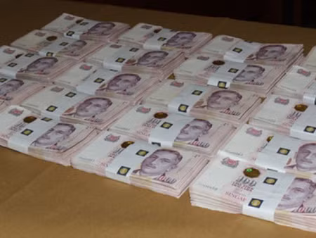 Hai kẻ bắt cóc mẹ triệu phú người Singapore ra hầu tòa ảnh 1