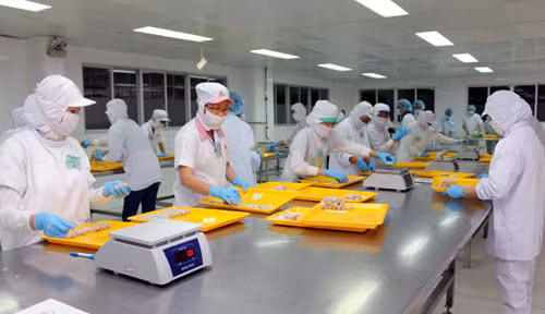 Để quản lý doanh nghiệp nhà nước hiệu quả hơn ảnh 1