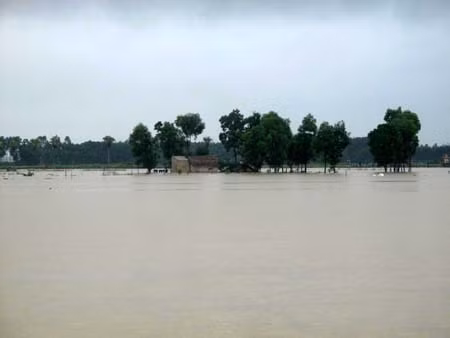 Chủ động ứng phó với mưa lũ ảnh 2
