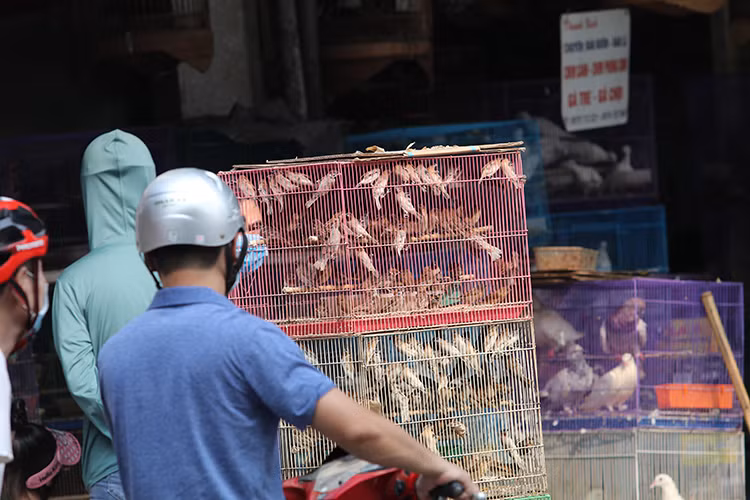 Chú thích ảnh