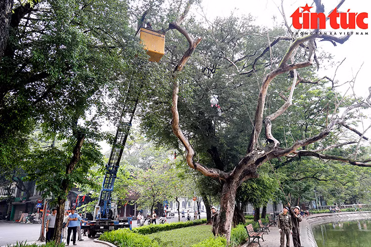 Chú thích ảnh