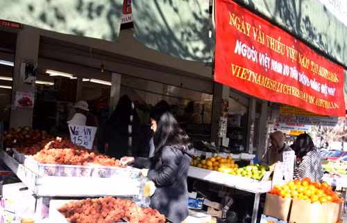 Vải thiều Việt đến Sydney ảnh 4