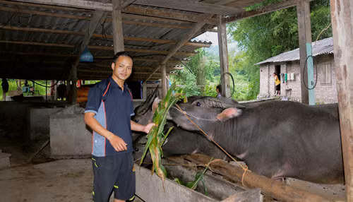 Người thanh niên dân tộc Nùng dám nghĩ, dám làm ảnh 1