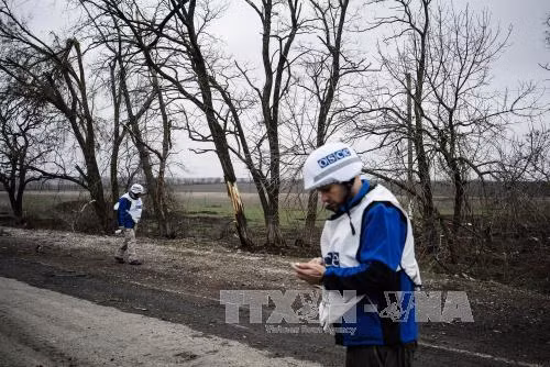 OSCE: Lệnh ngừng bắn lại bị vi phạm tại Ukraine ảnh 1