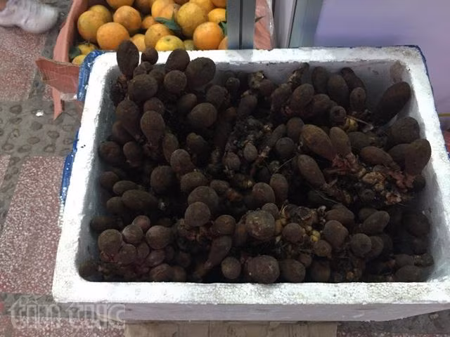 Dân phố háo hức 'săn lùng' đặc sản quê ảnh 11