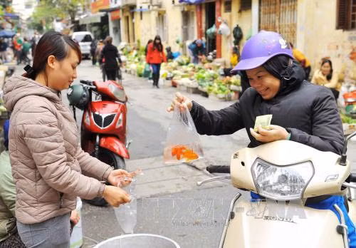 Nhộn nhịp các mặt hàng tiễn Táo quân chầu trời ảnh 1