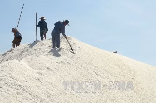 Giá muối tăng, diêm dân vẫn chờ giá cao hơn ảnh 1