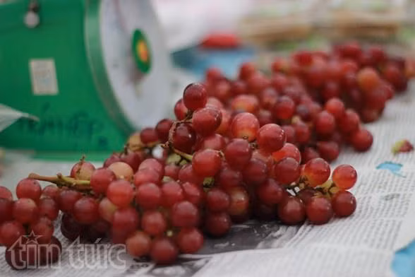 Đặc sản vùng miền đón Tết hút khách ảnh 8