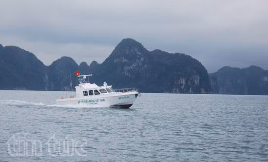 Bộ đội Biên phòng tiếp nhận 6 xuồng tuần tra cao tốc MS-50S ảnh 3