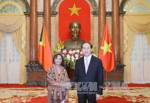 Chủ tịch nước tiếp các Đại sứ trình Quốc thư ảnh 2