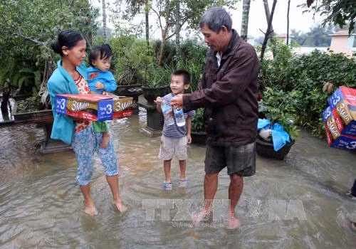 Chăm lo Tết cho người dân vùng rốn lũ Quảng Ngãi ảnh 1
