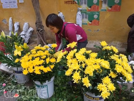 Hoa tươi tăng giá mạnh dịp Tết ông Công, ông Táo ảnh 3