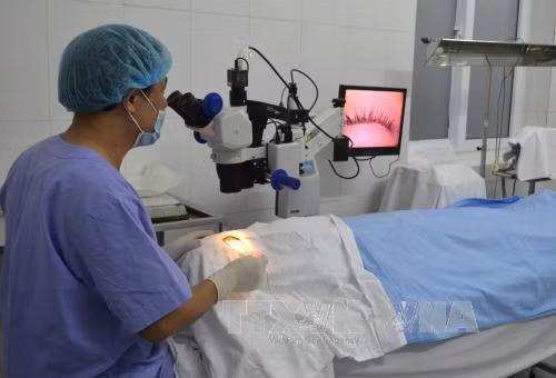 Phấn đấu loại trừ các nguyên nhân chính gây mù lòa ảnh 1