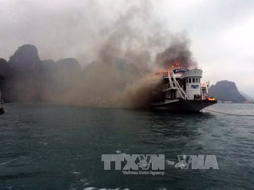 Tàu du lịch nghỉ đêm vỏ gỗ hoán cải có thể bị dừng hoạt động trên vịnh Hạ Long ảnh 1