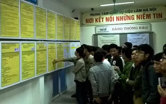 Nhiều việc làm cho thanh niên dịp Tết ảnh 1