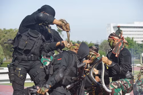 Đặc nhiệm Indonesia trình diễn kỹ năng độc đáo trước mắt Bộ trưởng Quốc phòng Mỹ ảnh 2