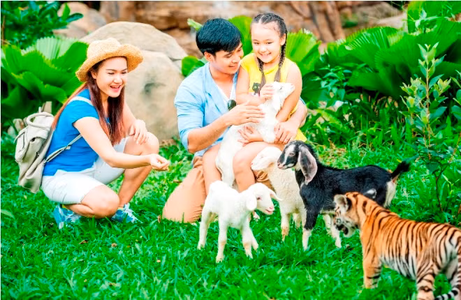 Vinpearl nâng cấp toàn hệ thống lên chuẩn 5 sao quốc tế ảnh 5