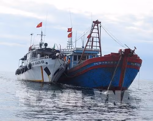 Phạt nặng tàu cá khai thác trái phép tại vùng biển nước ngoài ảnh 1