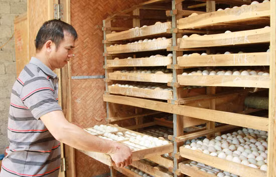 Vốn nhỏ, hiệu quả lớn ảnh 2