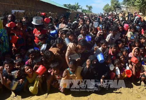 Bangladesh hoãn tiến trình hồi hương người tị nạn Rohingya về Myanmar ảnh 1