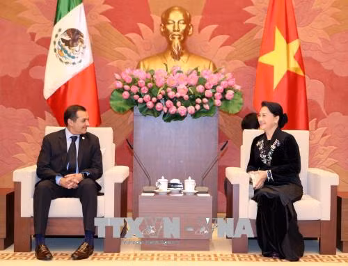 Chủ tịch Quốc hội Nguyễn Thị Kim Ngân tiếp Chủ tịch Thượng viện Mexico ảnh 1